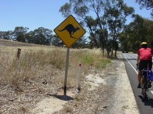 ROAD HAZARDS