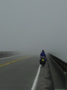 FOGGY MORNING