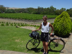 CYCLING THE BAROSSA VALLEY