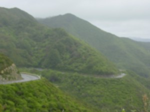 THE ROAD TO RIMUTAKA HILL