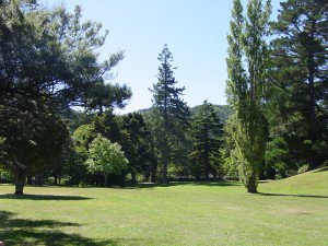 WELCOME TO THE GARDENS OF ISENGARD