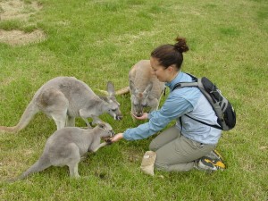 FEEDING TIME