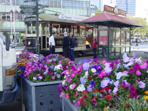 CHRISTCHURCH, THE GARDEN CITY