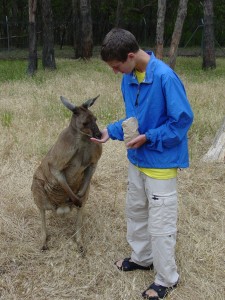 ANOTHER HUNGRY ROO